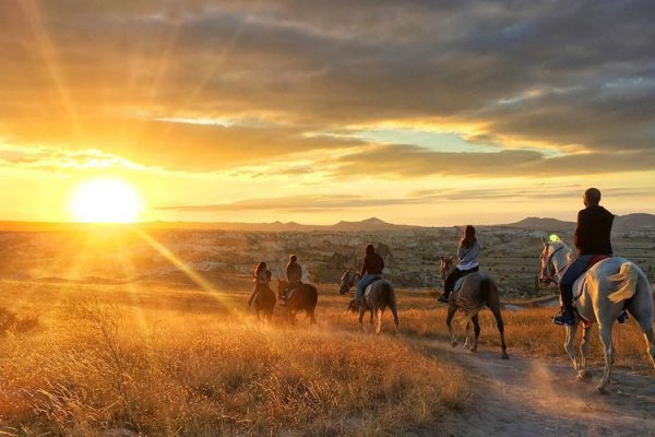 Horseback Riding Tour(2 Hours)